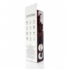 Jupiter- 12 Function Spinning Vibrator with USB Charger